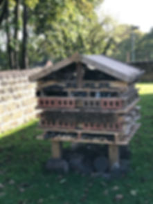 Bug House.jpeg