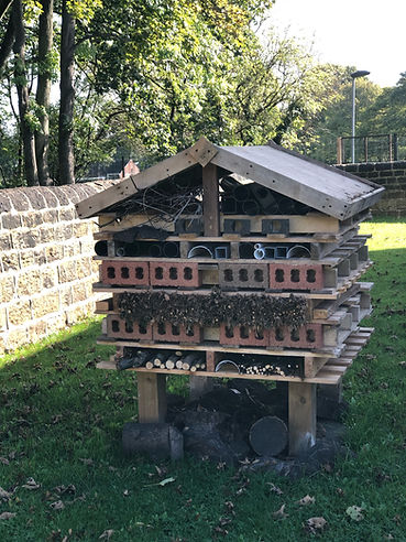 Bug House.jpeg