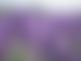 Benefits of Choosing Organic Skincare