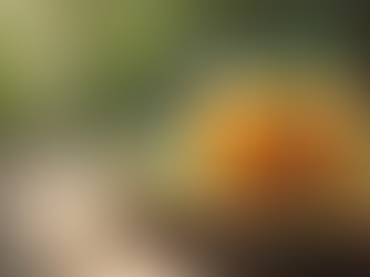 Discover the Benefits of Natural Soap Bars for Your Skin and Soul