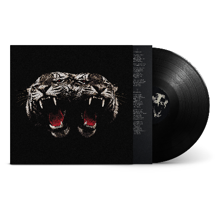 Thumbnail: ROYAL BLOOD - Dead Company