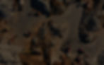 Dein Abschnittstext-2_edited.jpg