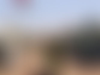 Se cumple medio siglo de ocupación ilegal en el Sahara Occidental
