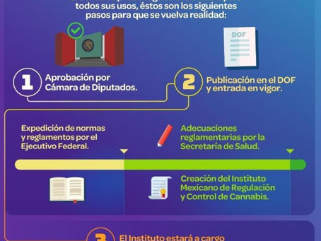 Hacía una industria del Cannabis