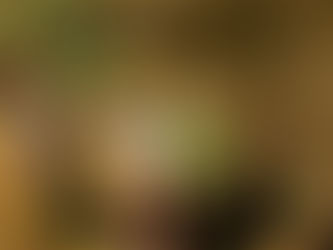 Escucha el nuevo single "Okay" por PRONTO X KELVYN BOY X RIGA