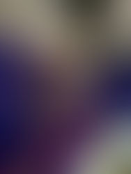 The Courageous Awards Shine at Atlanta City Hall: A Powerful Night Honoring Women and Domestic Violence Survivors