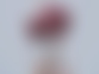 PENSÃO POR MORTE: QUEM TEM DIREITO?