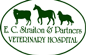 straitons logo.png