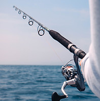 Fishing pole on the water