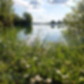 IMG_20210514_101423_625 - Copie.jpg