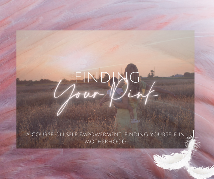 Inner Light Academy Program List Inner Light Counseli