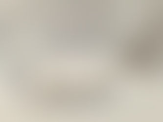 ミニチュアモデル?