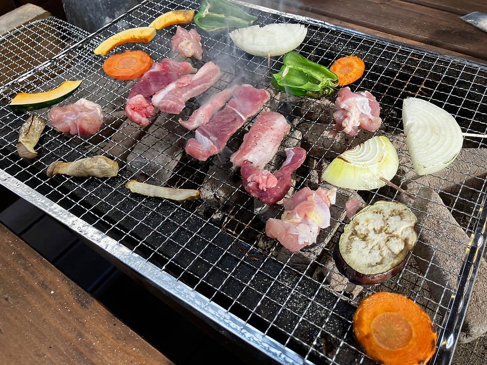釣りたての魚と焼きマシュマロも美味しかったです!