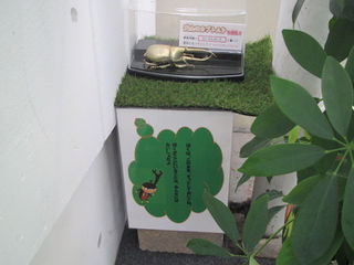 久能山東照宮謎解き、好評のうちに終了