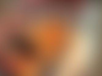 11/19なぞコンレポート!