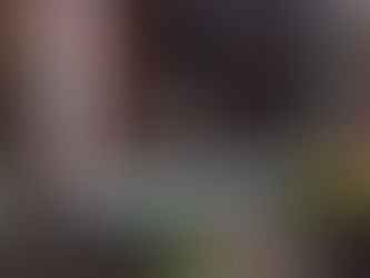 癒やしのフグチャン