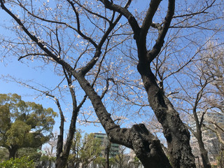 春のわくわく