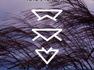 ジェリー謎毎週月曜更新!