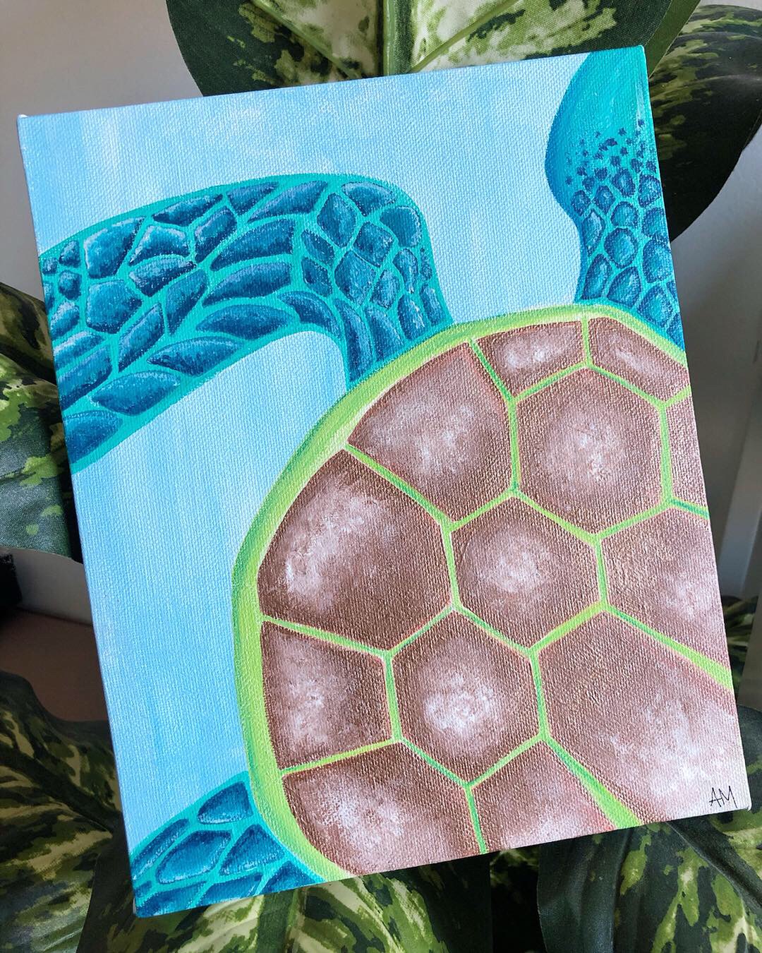 Shimmering Sea Turtle