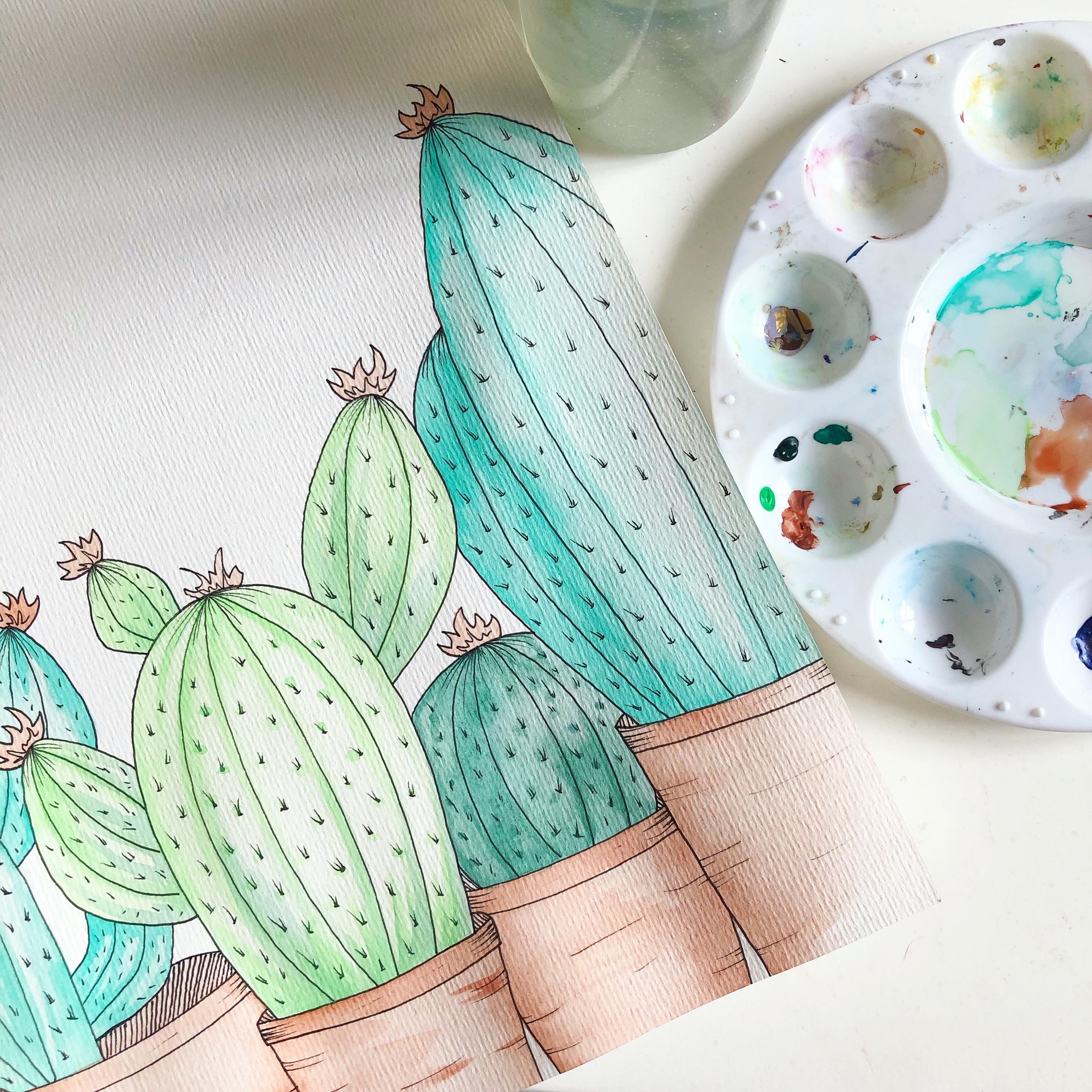 Colorful Cacti