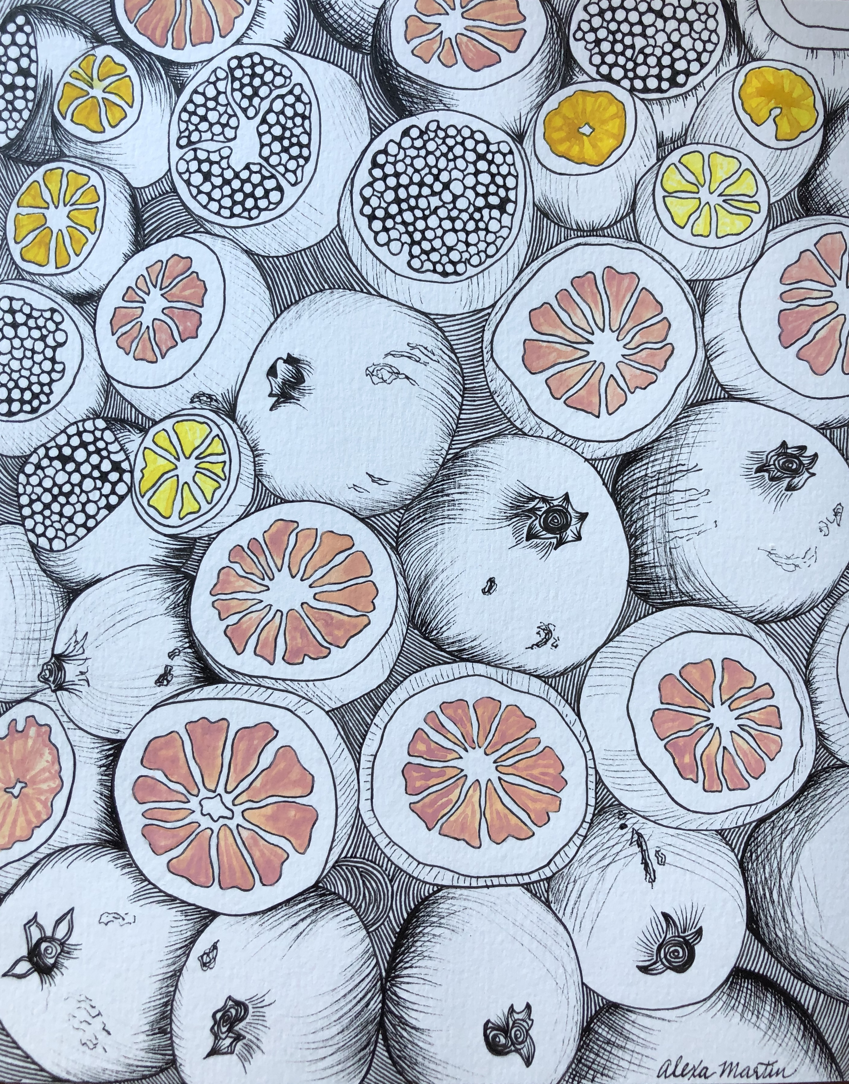 Grapefruit