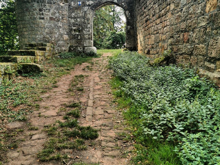 Pfälzer Waldpfad, Etappe 4: Grüne Einsamkeit zwischen sterbenden Orten