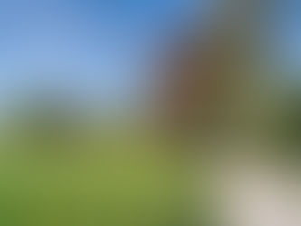 Schmetterlinge im Forstenrieder Park