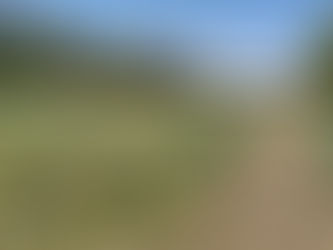 In der Angerlohe am Karfreitag des ersten Coronajahres