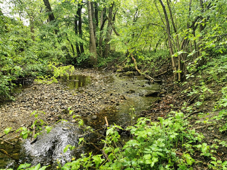 Im Hinterland des Ammersees