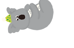 無尾熊.PNG