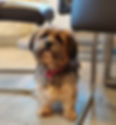 FD1F75E4-D705-4AE8-B023-FFE66FD78D2C_edited.jpg