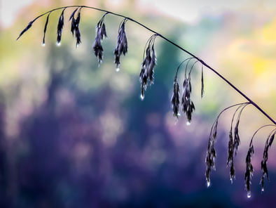 massage bij lymfoedeem