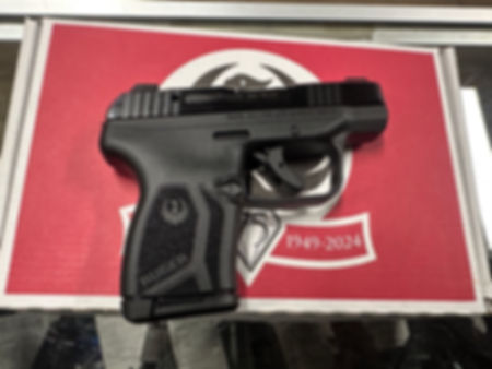Ruger LCP max 380acp