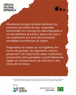 Postagem: 11/07/2026