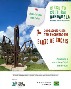 Postagem: 11/08/2026