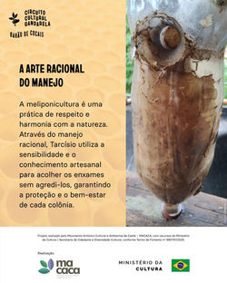 Postagem: 09/09/2026