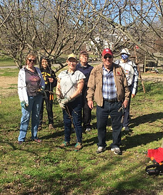 Members at Spaulding Park for fruit tree trimming.
