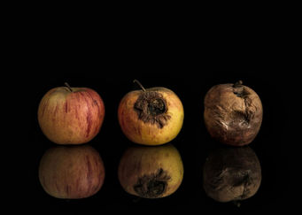 concept-photo-of-putrefying-apple.jpg