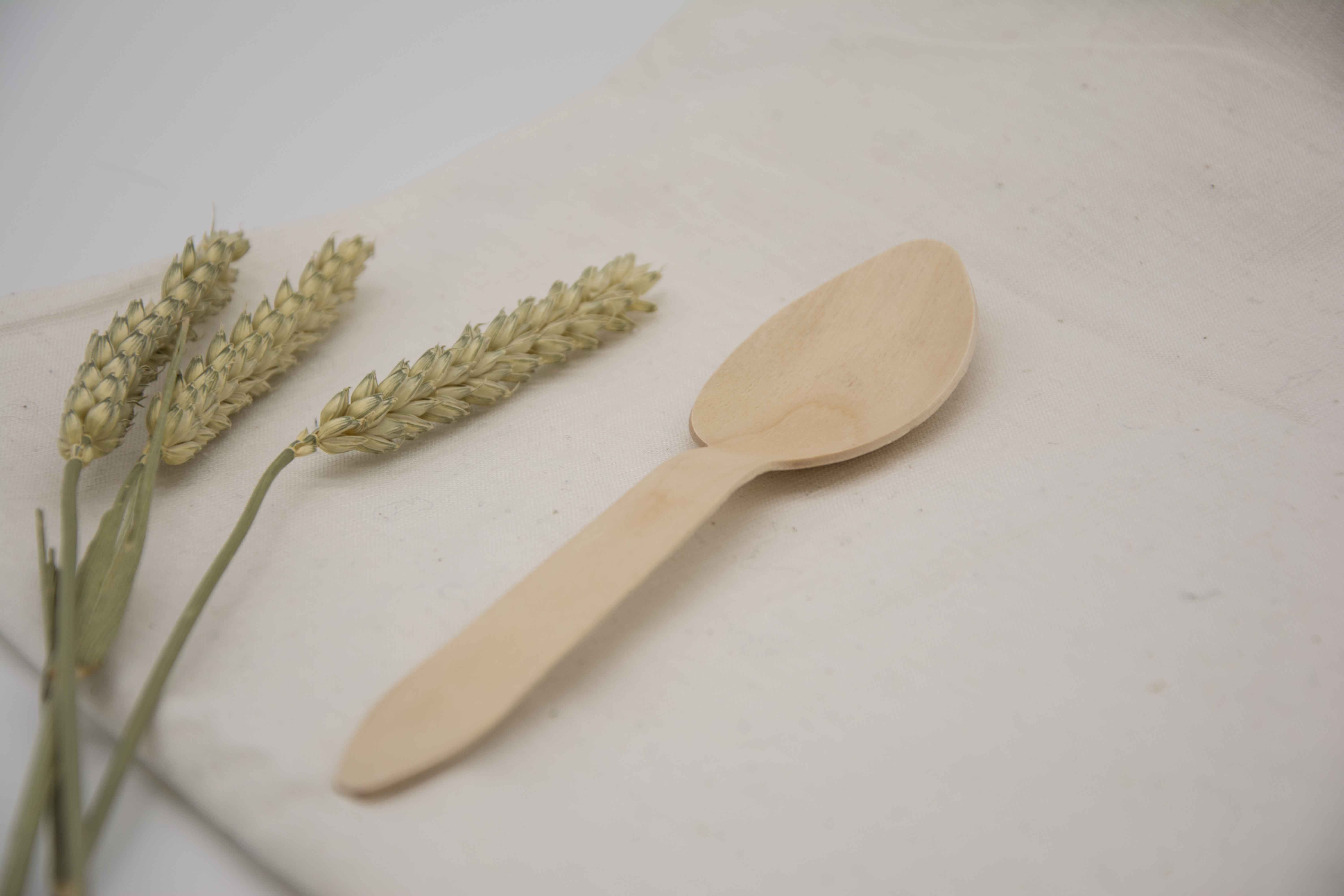 Ξύλινο κουτάλι 10 τεμ.