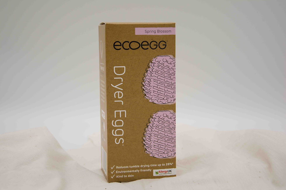 Μικρογραφία: ECOEGG Αυγό στεγνωτηρίου