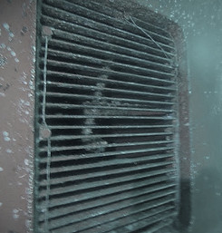 sea chest cleaning_edited_edited.jpg