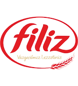FİLİZ LOGO_edited.png