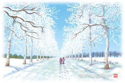 12月（北海道 駒場白樺並木）