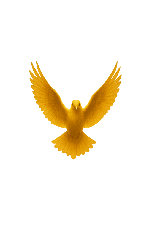 Untitled design (5).png