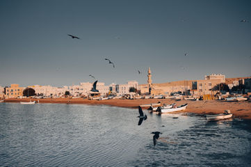 Overzicht van kustlijn met gebouwen en boten, vogels vliegen omhoog, Dutchie in Oman