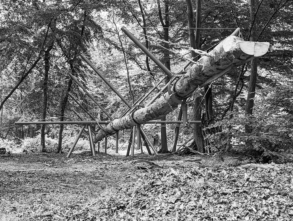 SEESAW Foret Monumental