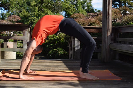GauravYoga Posture2 Curve.jpeg