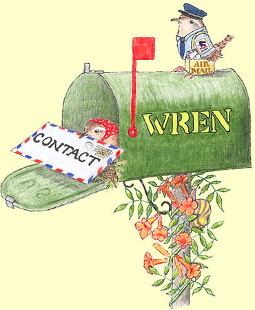 CONTACT MAILBOX WEBSITE.jpg