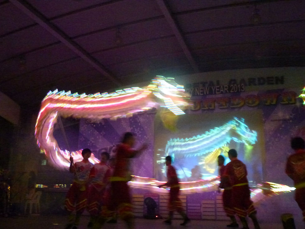 p1000498_1_orig