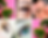 Simple Photo Collage.png
